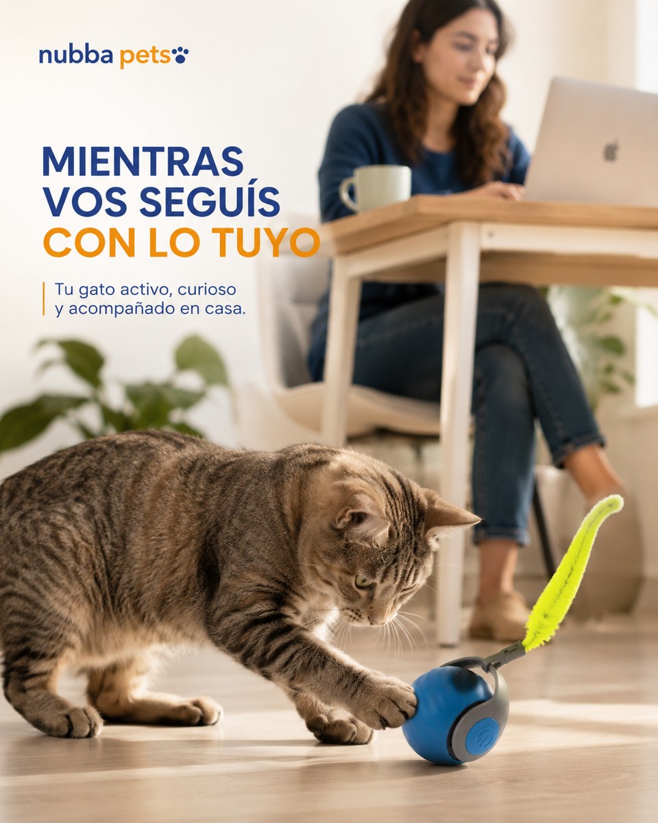 Mientras vos seguis con lo tuyo
