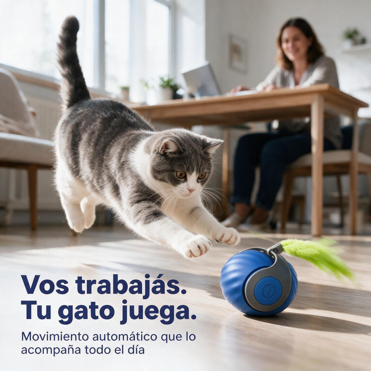Vos trabajas tu gato juega