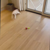 GiroBall™ — Pelota Interactiva Inteligente para Gatos — vista 3